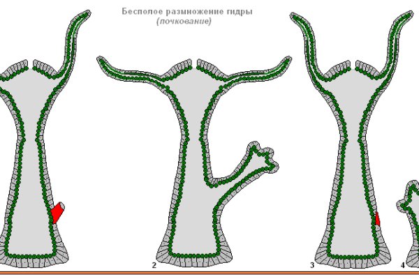 Кракен нарк