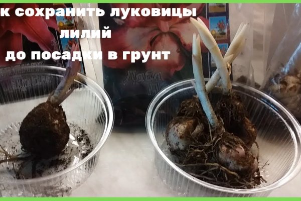 Kraken market зеркала