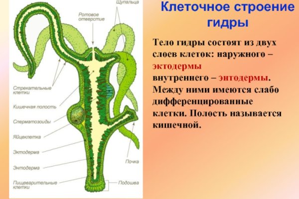 Kraken17 at
