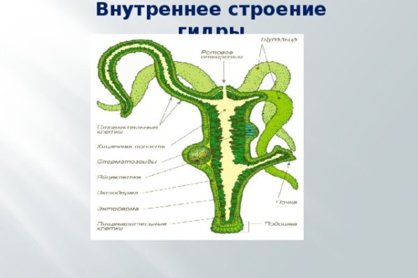 Оригинальные ссылки кракена