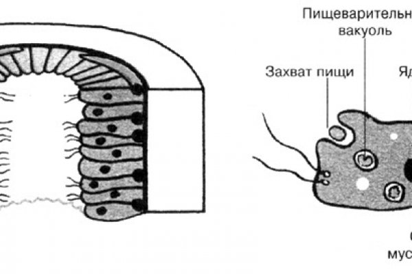 Кракен наркоман